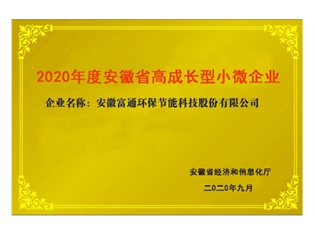 安徽省高成長型小微企業(yè)